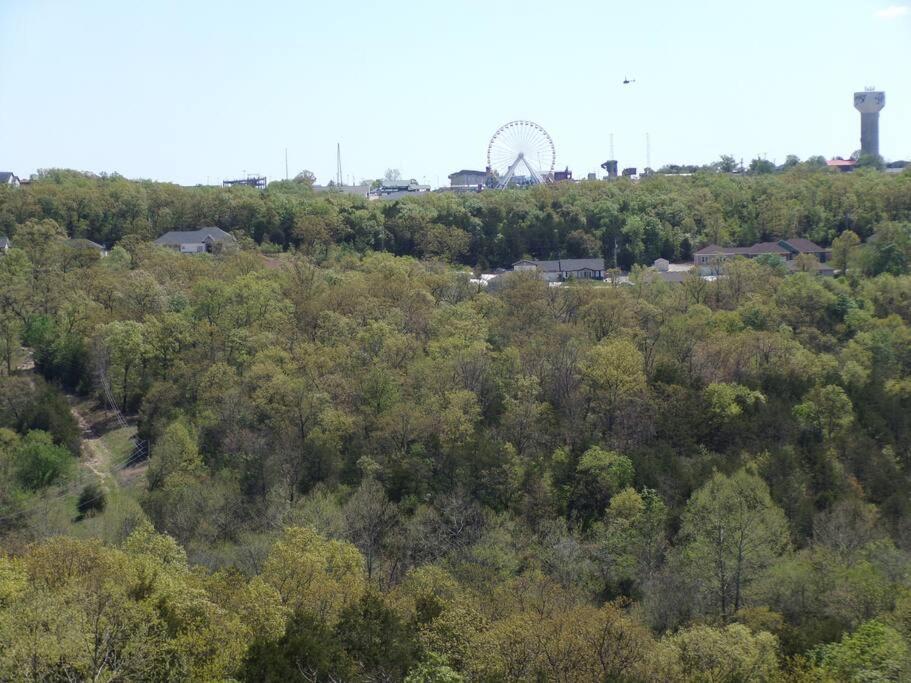 The Vista Apartment Бренсън Екстериор снимка